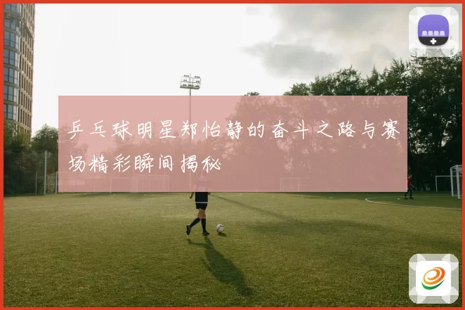 乒乓球明星郑怡静的奋斗之路与赛场精彩瞬间揭秘