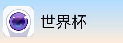 世界杯买球预测